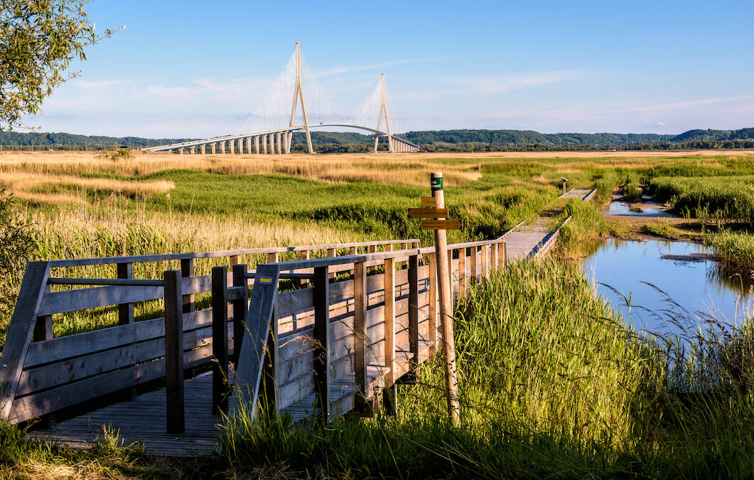 La vallée de la Seine : un écrin naturel et historique en Normandie