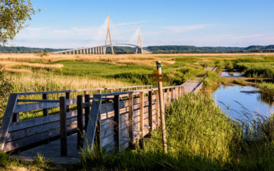 La vallée de la Seine : voyage au cœur de la nature et de l’architecture normande